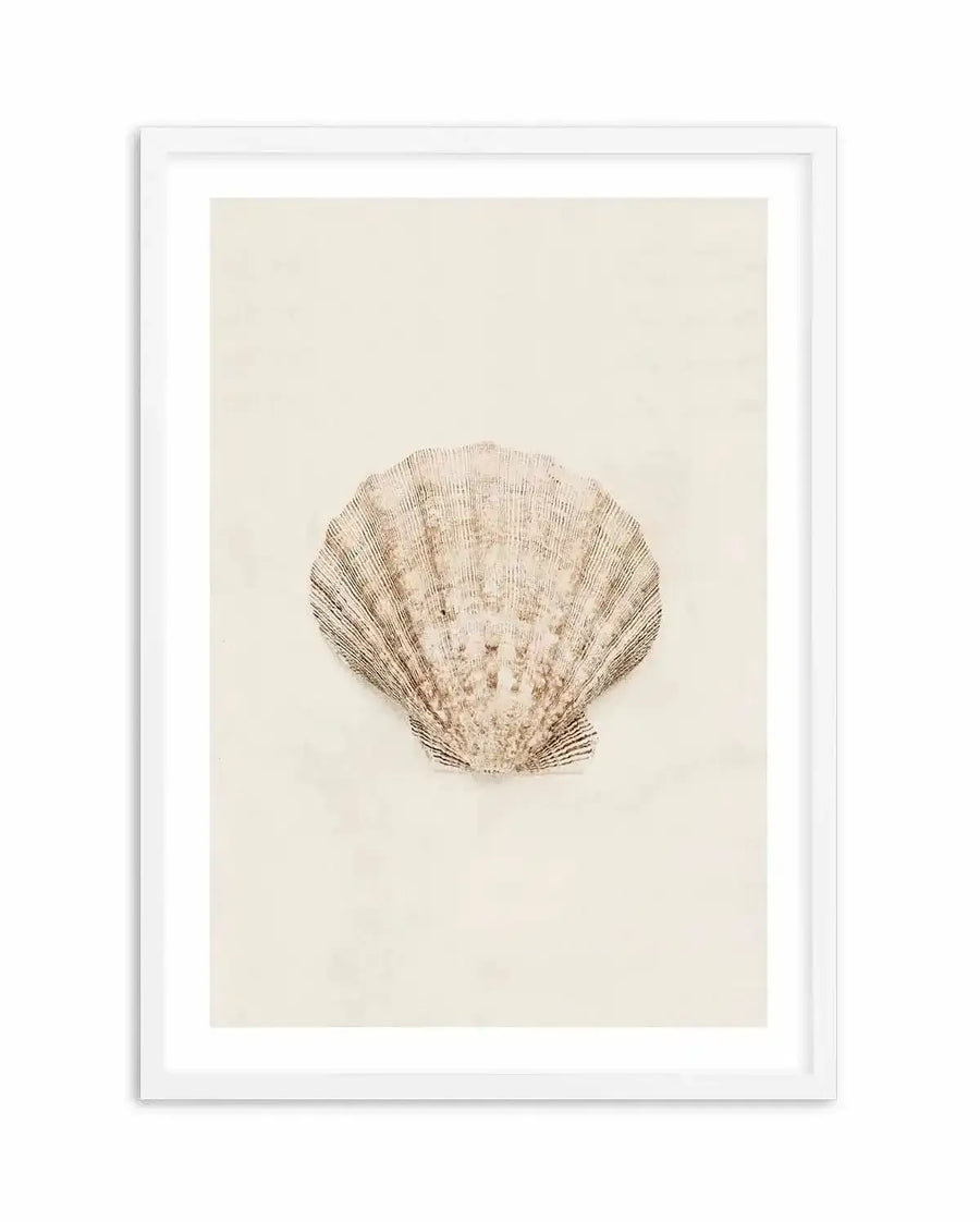 Art print featuring a detailed illustration of a seashell in warm beige and brown tones on a cream background, printed on fine art paper and displayed in a white frame with white border. The seashell has a ribbed texture and a slightly irregular shape, with darker lines highlighting its natural contours.