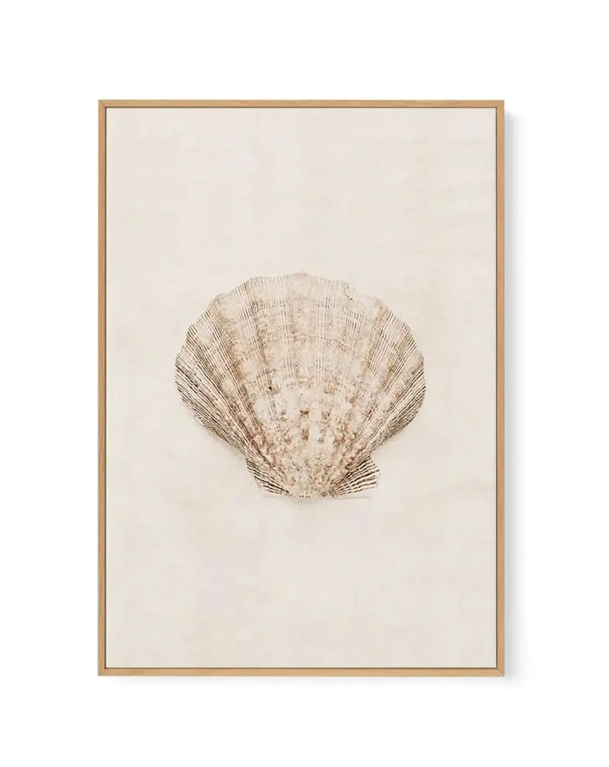 Little Seashell I | Framed Canvas-CANVAS-You can shop wall art online with Olive et Oriel for everything from abstract art to fun kids wall art. Our beautiful modern art prints and canvas art are available from large canvas prints to wall art paintings and our proudly Australian artwork collection offers only the highest quality framed large wall art and canvas art Australia - You can buy fashion photography prints or Hampton print posters and paintings on canvas from Olive et Oriel and have the