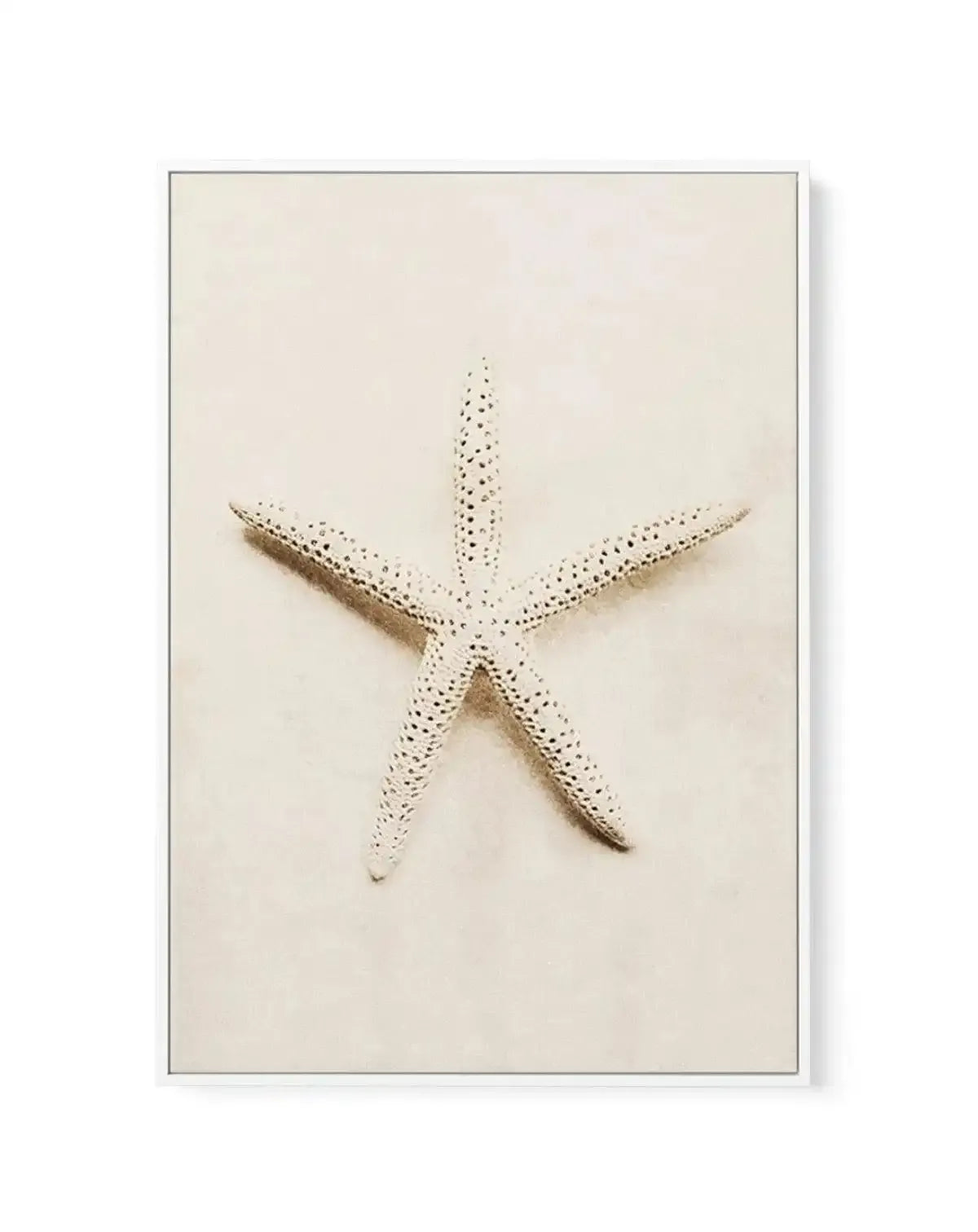 Little starfish | Framed Canvas-CANVAS-You can shop wall art online with Olive et Oriel for everything from abstract art to fun kids wall art. Our beautiful modern art prints and canvas art are available from large canvas prints to wall art paintings and our proudly Australian artwork collection offers only the highest quality framed large wall art and canvas art Australia - You can buy fashion photography prints or Hampton print posters and paintings on canvas from Olive et Oriel and have them 