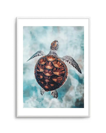 Framed art print of a sea turtle swimming in clear, shallow water, viewed from above. The turtle has a dark brown and orange patterned shell, with lighter brown and white speckled flippers and head. The water is a mix of light blue and turquoise, with soft, blurry patches of white, suggesting sunlight or reflections on the water's surface. The print is displayed in a white frame with a white border.
