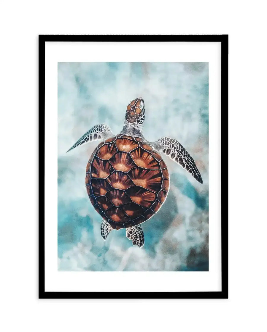 Framed art print featuring a sea turtle swimming in clear, shallow turquoise water, viewed from above. The turtle has a patterned brown and orange shell with white and black speckled flippers, and its head is turned slightly upwards. The water has a soft, painterly texture with lighter blue and white areas suggesting sunlight. The print is displayed in a black frame with a white border.