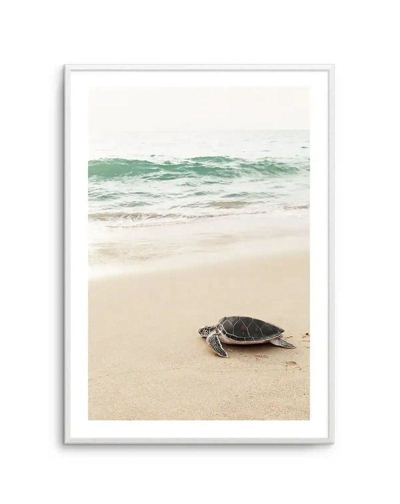 Framed photograph of a baby sea turtle on a sandy beach, with a white frame and white border. The turtle is dark grey and black, facing right, with the ocean and gentle turquoise waves in the background under a soft, bright sky.
