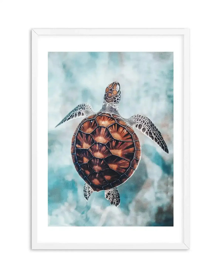 Watercolour art print featuring a sea turtle swimming in clear blue water, viewed from above. The turtle has a patterned brown and orange shell with black and white speckled flippers, and is surrounded by soft, muted blue and green brushstrokes suggesting shallow ocean water. The print is displayed in a white frame with a white border.