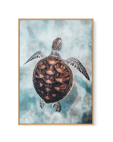 Framed canvas art print featuring a sea turtle viewed from above, swimming toward the viewer against a soft, cloudy blue-green watercolor background. The turtle has a rich brown shell with darker radiating patterns and lighter tan-colored segments, pale gray flippers with detailed scale texturing, and a small head with defined features. The composition is centered and serene. The canvas is set in a natural wood-toned frame with a white border.