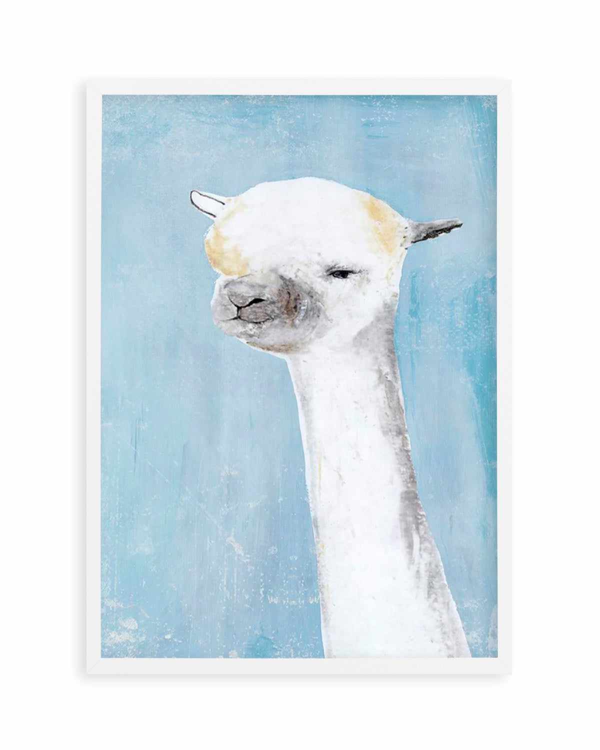 Llama on Blue II Art Print