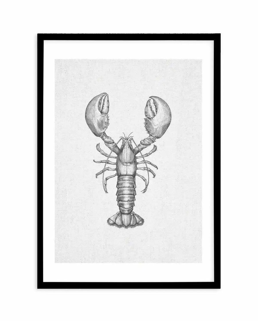 Black and white art print featuring a detailed illustration of a lobster with large claws, rendered in a vintage scientific drawing style with fine line work and cross-hatching on a textured off-white background, displayed in a black frame with a white border.