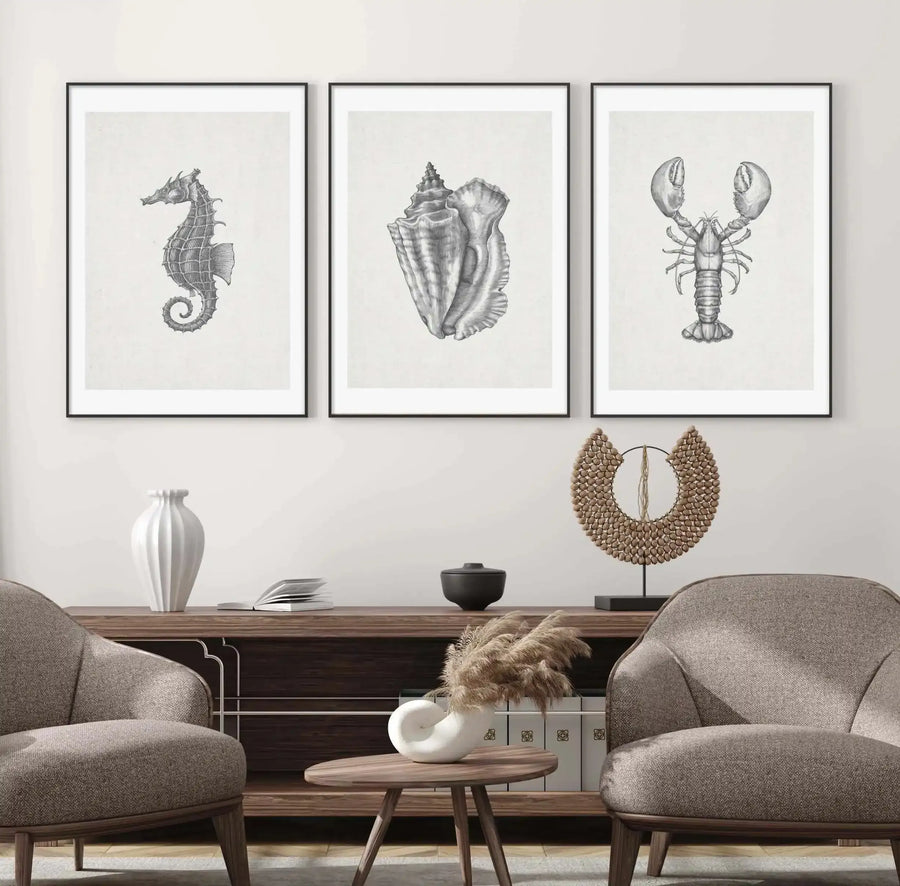 Lifestyle shot of three framed art prints displayed above a wooden console table in a neutral-toned living room. The prints feature detailed black and white illustrations of a seahorse, two seashells, and a lobster, each with a black frame and white border. The room includes two upholstered armchairs, a white ribbed vase, a black lidded bowl, and a decorative beaded sculpture.