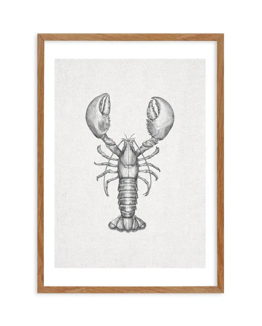 Pencil illustration art print featuring a detailed lobster in shades of grey and black on a textured off-white background, printed on fine art paper and displayed in a natural oak frame with white border. The lobster is depicted facing forward with its large claws raised.