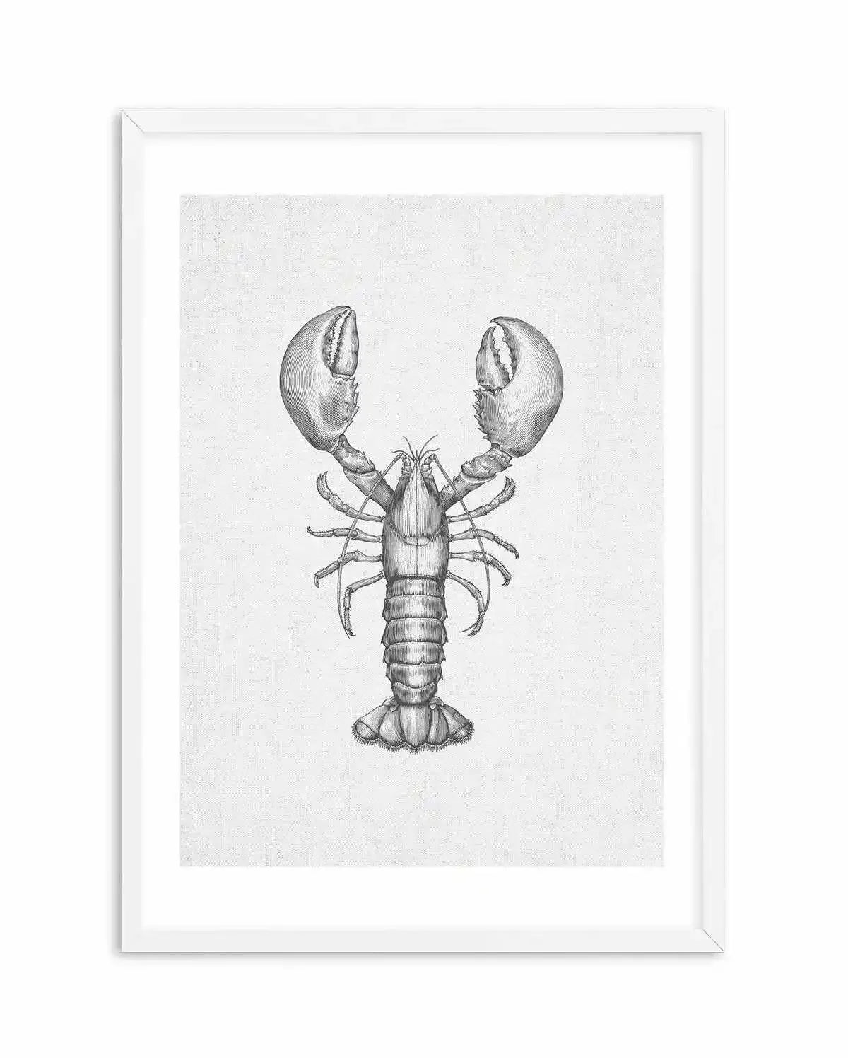 Lobster on Linen Art Print-PRINT-Olive et Oriel-Olive et Oriel-A5 | 5.8" x 8.3" | 14.8 x 21cm-White-With White Border-Buy-Australian-Art-Prints-Online-with-Olive-et-Oriel-Your-Artwork-Specialists-Austrailia-Decorate-With-Coastal-Photo-Wall-Art-Prints-From-Our-Beach-House-Artwork-Collection-Fine-Poster-and-Framed-Artwork