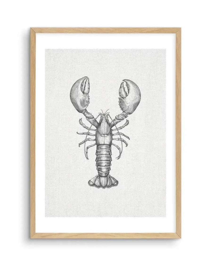 Black and white art print featuring a detailed scientific illustration of a lobster, printed on fine art paper with a subtle linen texture and displayed in a natural oak frame with white border.