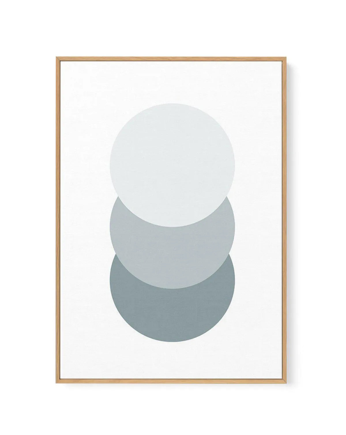 L'Ombre Moss | Framed Canvas-CANVAS-You can shop wall art online with Olive et Oriel for everything from abstract art to fun kids wall art. Our beautiful modern art prints and canvas art are available from large canvas prints to wall art paintings and our proudly Australian artwork collection offers only the highest quality framed large wall art and canvas art Australia - You can buy fashion photography prints or Hampton print posters and paintings on canvas from Olive et Oriel and have them del