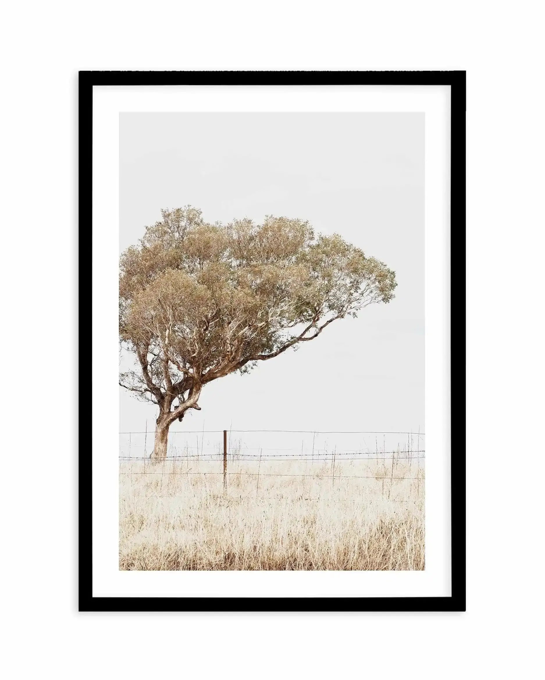 Lost In The Fields Art Print-PRINT-Olive et Oriel-Olive et Oriel-A3 | 11.7" x 16.5" | 29.7 x 42 cm-Black-With White Border-Buy-Australian-Art-Prints-Online-with-Olive-et-Oriel-Your-Artwork-Specialists-Austrailia-Decorate-With-Coastal-Photo-Wall-Art-Prints-From-Our-Beach-House-Artwork-Collection-Fine-Poster-and-Framed-Artwork