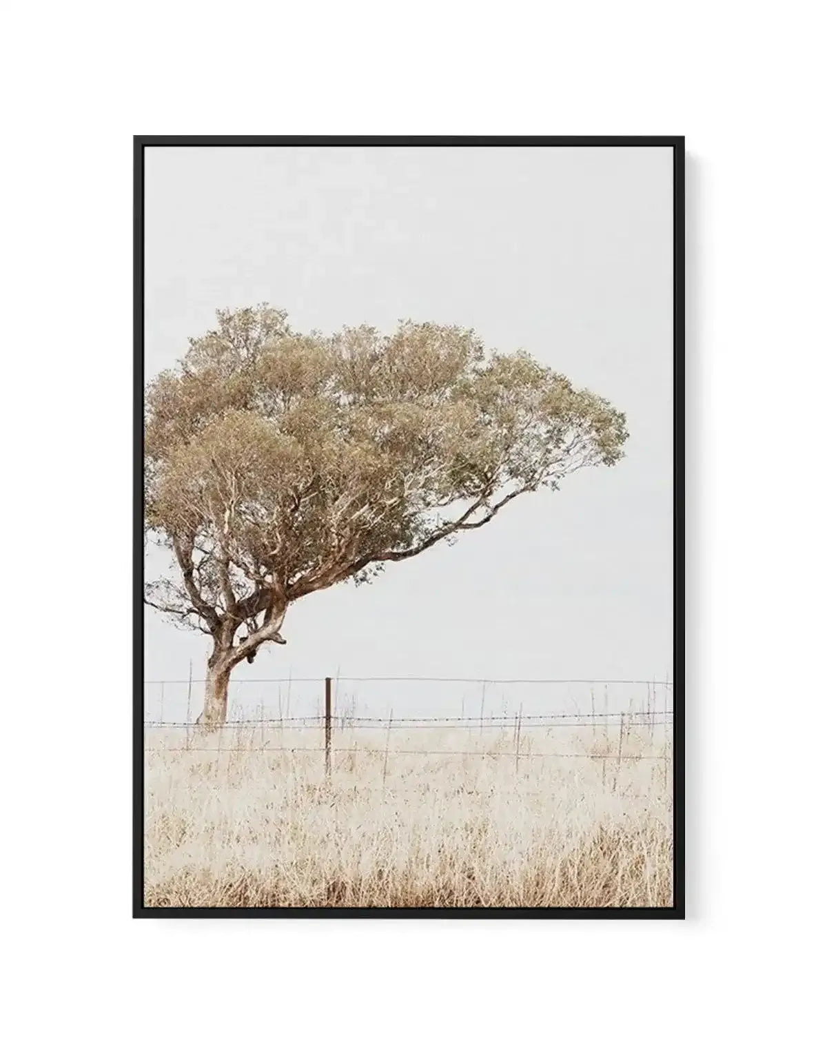 Lost In The Fields | Framed Canvas-CANVAS-You can shop wall art online with Olive et Oriel for everything from abstract art to fun kids wall art. Our beautiful modern art prints and canvas art are available from large canvas prints to wall art paintings and our proudly Australian artwork collection offers only the highest quality framed large wall art and canvas art Australia - You can buy fashion photography prints or Hampton print posters and paintings on canvas from Olive et Oriel and have th