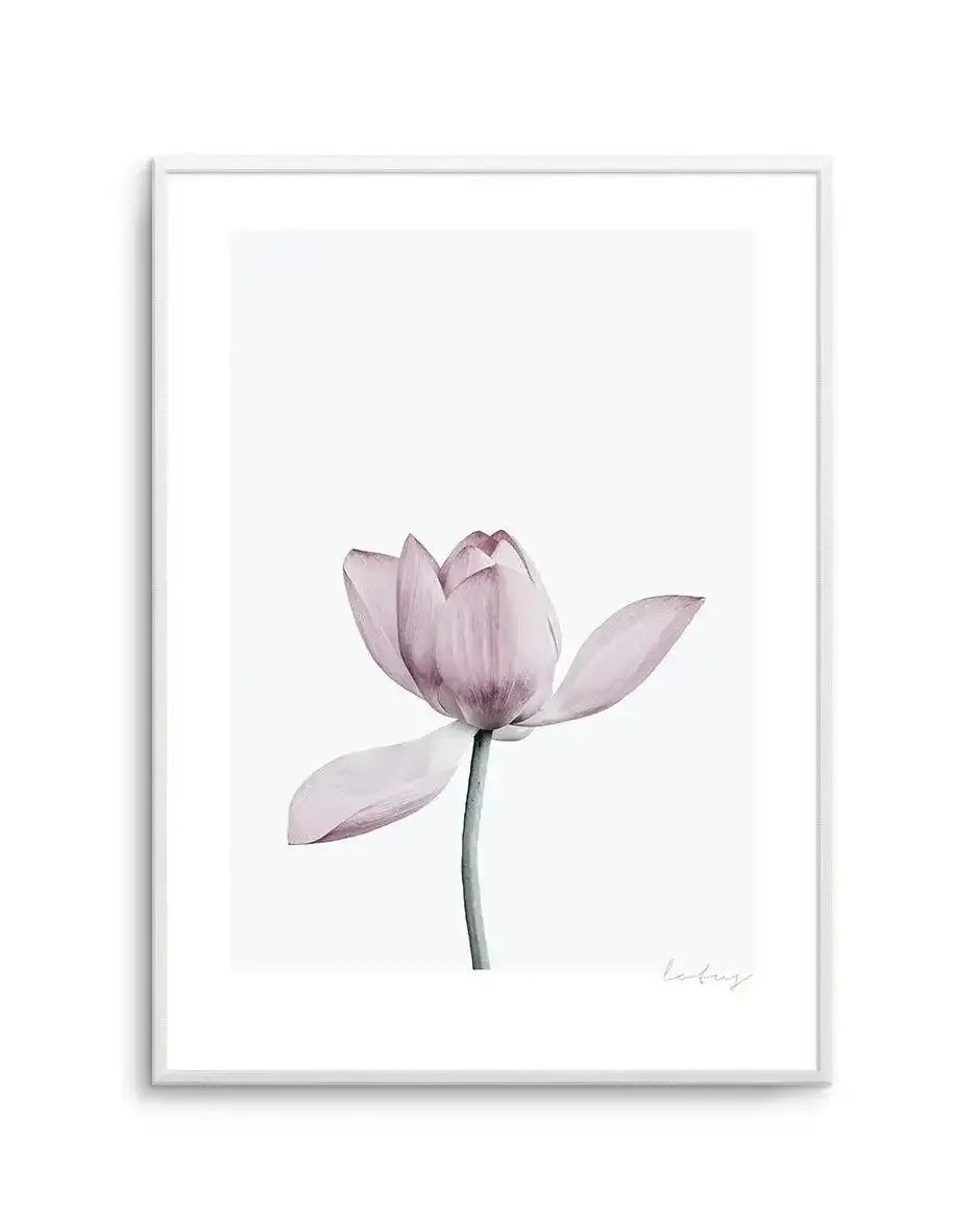 Lotus I Art Print-PRINT-Olive et Oriel-Olive et Oriel-A5 | 5.8" x 8.3" | 14.8 x 21cm-Unframed Art Print-With White Border-Buy-Australian-Art-Prints-Online-with-Olive-et-Oriel-Your-Artwork-Specialists-Austrailia-Decorate-With-Coastal-Photo-Wall-Art-Prints-From-Our-Beach-House-Artwork-Collection-Fine-Poster-and-Framed-Artwork