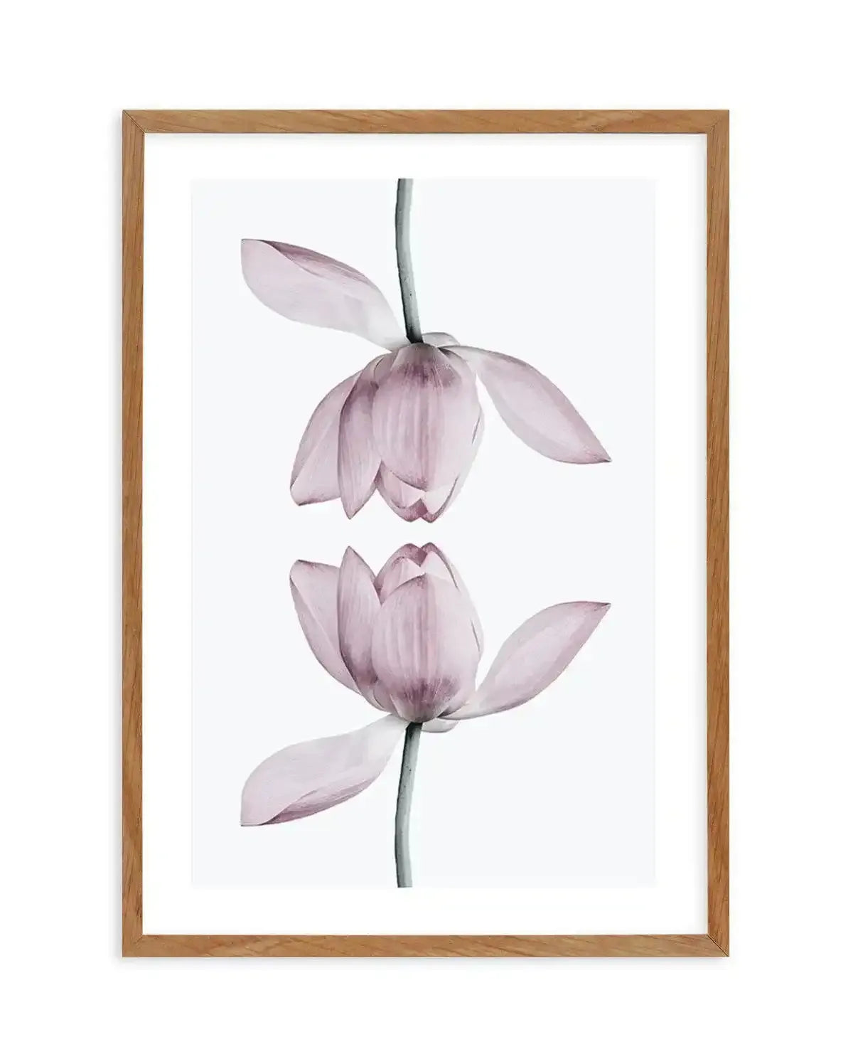 Lotus In Reflection Art Print-PRINT-Olive et Oriel-Olive et Oriel-50x70 cm | 19.6" x 27.5"-Walnut-With White Border-Buy-Australian-Art-Prints-Online-with-Olive-et-Oriel-Your-Artwork-Specialists-Austrailia-Decorate-With-Coastal-Photo-Wall-Art-Prints-From-Our-Beach-House-Artwork-Collection-Fine-Poster-and-Framed-Artwork