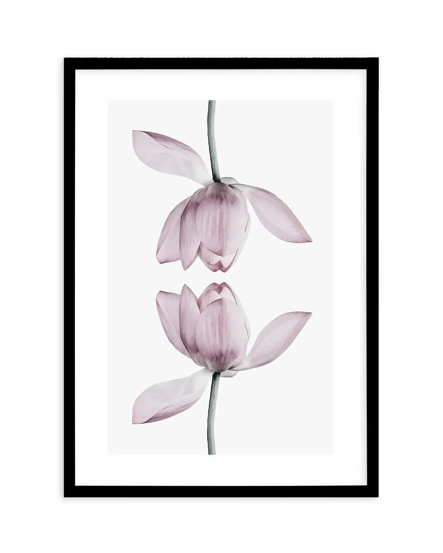 Lotus In Reflection Art Print-PRINT-Olive et Oriel-Olive et Oriel-A5 | 5.8" x 8.3" | 14.8 x 21cm-Black-With White Border-Buy-Australian-Art-Prints-Online-with-Olive-et-Oriel-Your-Artwork-Specialists-Austrailia-Decorate-With-Coastal-Photo-Wall-Art-Prints-From-Our-Beach-House-Artwork-Collection-Fine-Poster-and-Framed-Artwork