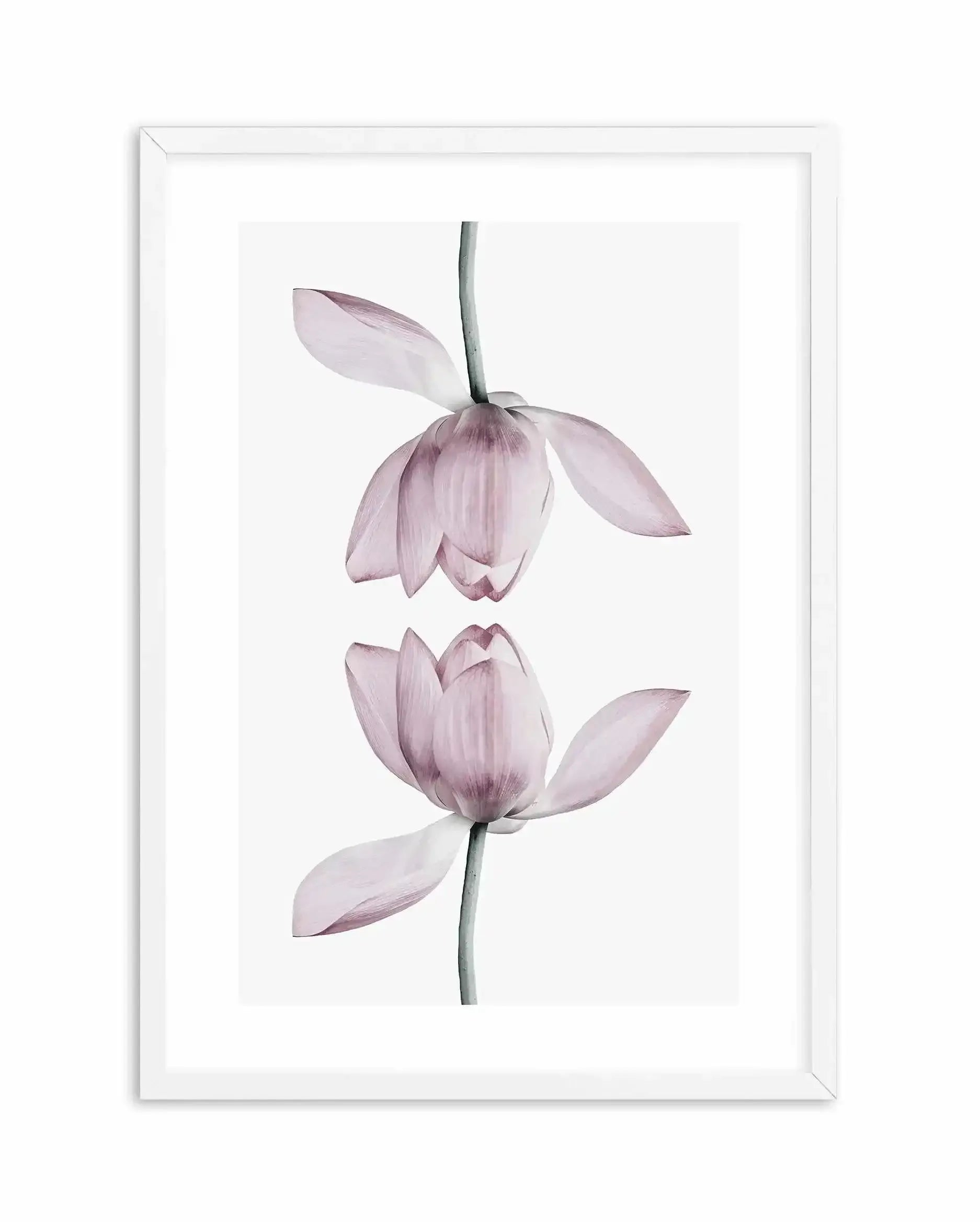 Lotus In Reflection Art Print-PRINT-Olive et Oriel-Olive et Oriel-A5 | 5.8" x 8.3" | 14.8 x 21cm-White-With White Border-Buy-Australian-Art-Prints-Online-with-Olive-et-Oriel-Your-Artwork-Specialists-Austrailia-Decorate-With-Coastal-Photo-Wall-Art-Prints-From-Our-Beach-House-Artwork-Collection-Fine-Poster-and-Framed-Artwork