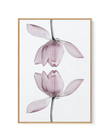 Lotus In Reflection | Framed Canvas-CANVAS-You can shop wall art online with Olive et Oriel for everything from abstract art to fun kids wall art. Our beautiful modern art prints and canvas art are available from large canvas prints to wall art paintings and our proudly Australian artwork collection offers only the highest quality framed large wall art and canvas art Australia - You can buy fashion photography prints or Hampton print posters and paintings on canvas from Olive et Oriel and have t