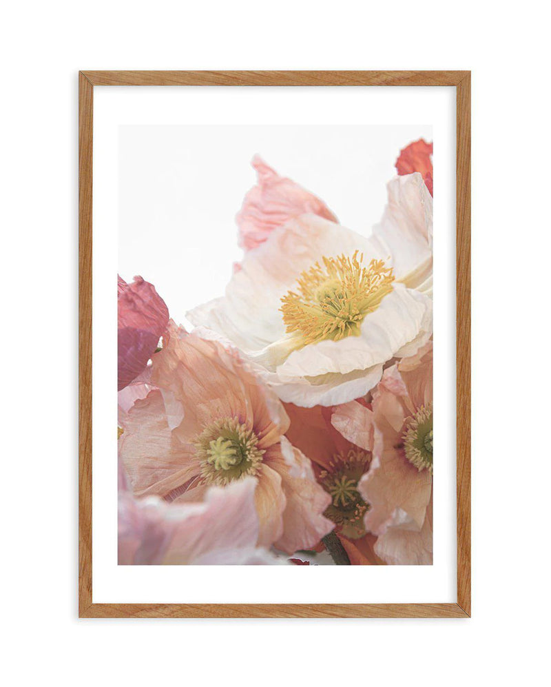 SALE 60x90 Luxe Poppy I | Walnut | Framed Acrylic Art