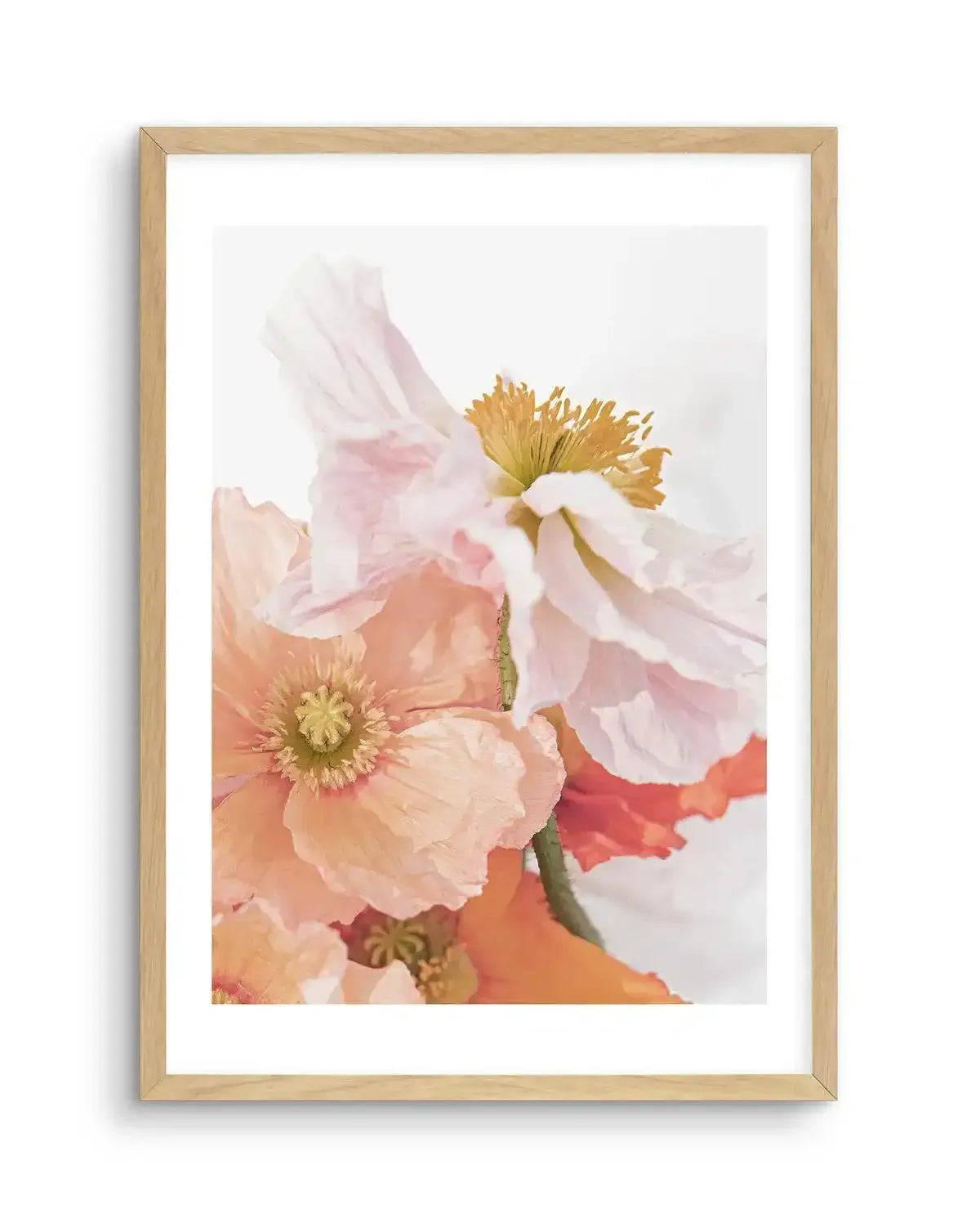 Luxe Poppy III Art Print-PRINT-Olive et Oriel-Olive et Oriel-A5 | 5.8" x 8.3" | 14.8 x 21cm-Oak-With White Border-Buy-Australian-Art-Prints-Online-with-Olive-et-Oriel-Your-Artwork-Specialists-Austrailia-Decorate-With-Coastal-Photo-Wall-Art-Prints-From-Our-Beach-House-Artwork-Collection-Fine-Poster-and-Framed-Artwork