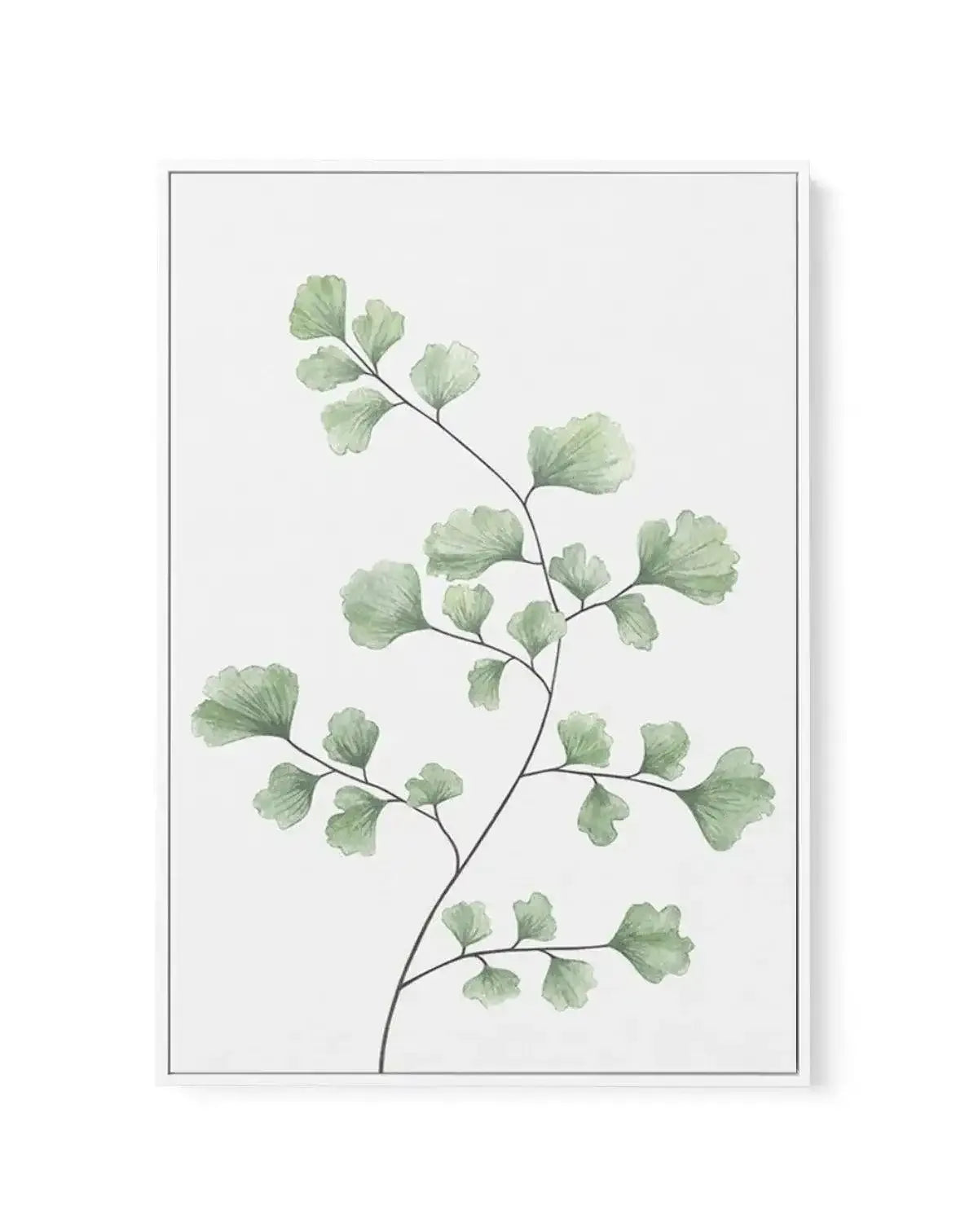 Maidenhair Fern I | Framed Canvas-CANVAS-You can shop wall art online with Olive et Oriel for everything from abstract art to fun kids wall art. Our beautiful modern art prints and canvas art are available from large canvas prints to wall art paintings and our proudly Australian artwork collection offers only the highest quality framed large wall art and canvas art Australia - You can buy fashion photography prints or Hampton print posters and paintings on canvas from Olive et Oriel and have the