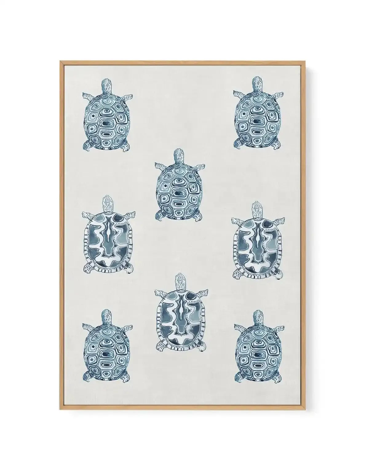 Marine Study 'Turtle' | Framed Canvas-CANVAS-You can shop wall art online with Olive et Oriel for everything from abstract art to fun kids wall art. Our beautiful modern art prints and canvas art are available from large canvas prints to wall art paintings and our proudly Australian artwork collection offers only the highest quality framed large wall art and canvas art Australia - You can buy fashion photography prints or Hampton print posters and paintings on canvas from Olive et Oriel and have