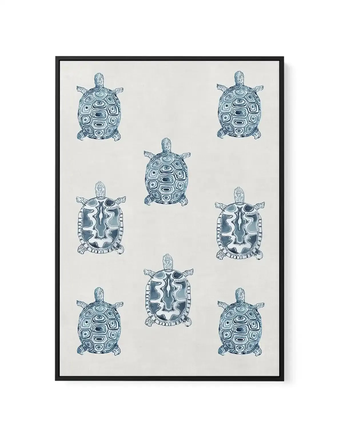 Marine Study 'Turtle' | Framed Canvas-CANVAS-You can shop wall art online with Olive et Oriel for everything from abstract art to fun kids wall art. Our beautiful modern art prints and canvas art are available from large canvas prints to wall art paintings and our proudly Australian artwork collection offers only the highest quality framed large wall art and canvas art Australia - You can buy fashion photography prints or Hampton print posters and paintings on canvas from Olive et Oriel and have