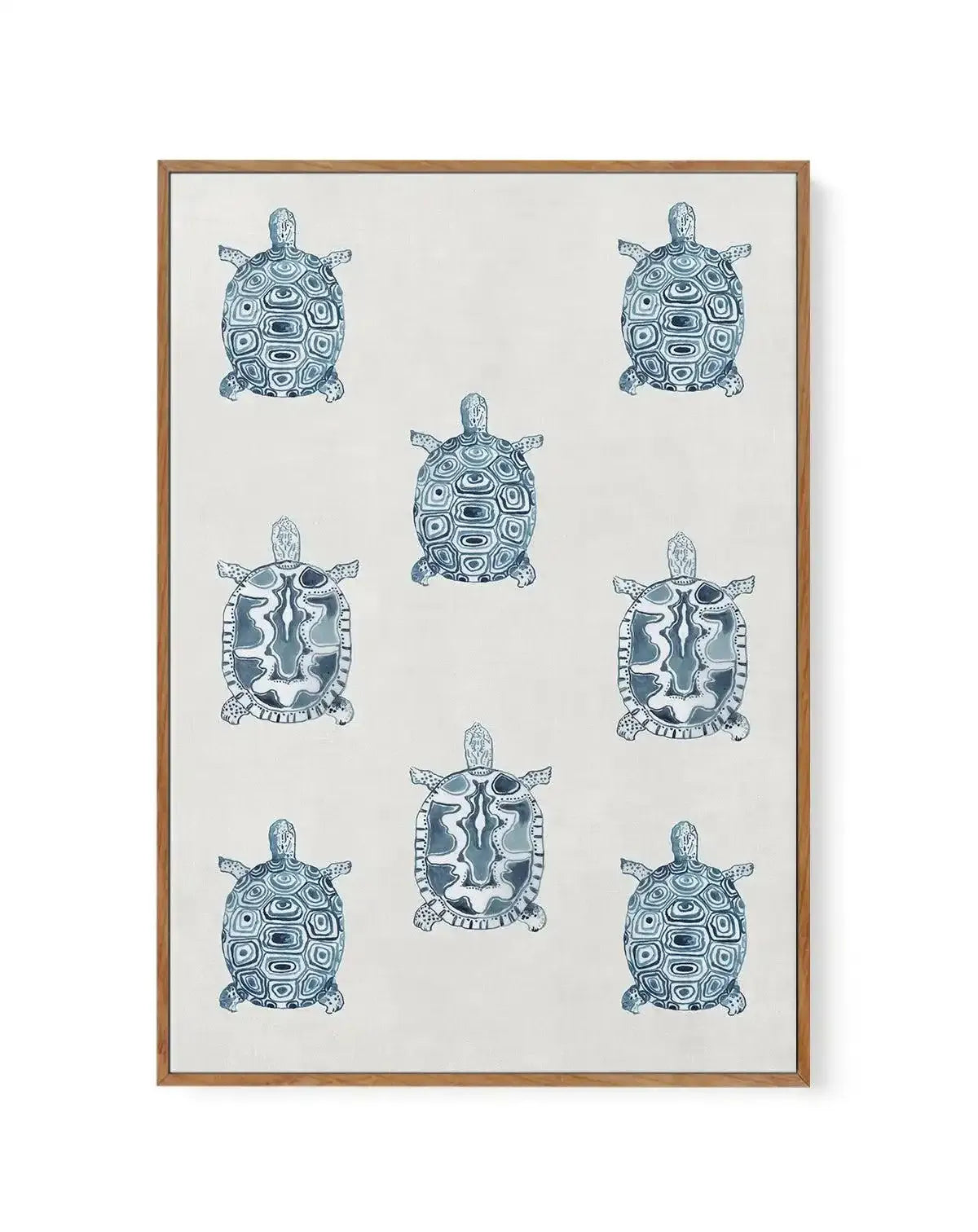 Marine Study 'Turtle' | Framed Canvas-CANVAS-You can shop wall art online with Olive et Oriel for everything from abstract art to fun kids wall art. Our beautiful modern art prints and canvas art are available from large canvas prints to wall art paintings and our proudly Australian artwork collection offers only the highest quality framed large wall art and canvas art Australia - You can buy fashion photography prints or Hampton print posters and paintings on canvas from Olive et Oriel and have