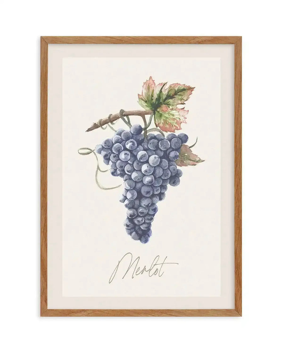 Watercolour art print featuring a cluster of deep purple merlot grapes on a vine with green and reddish-brown leaves, printed on fine art paper and displayed in a natural oak frame with white border. The word "Merlot" is written in elegant script below the grapes.