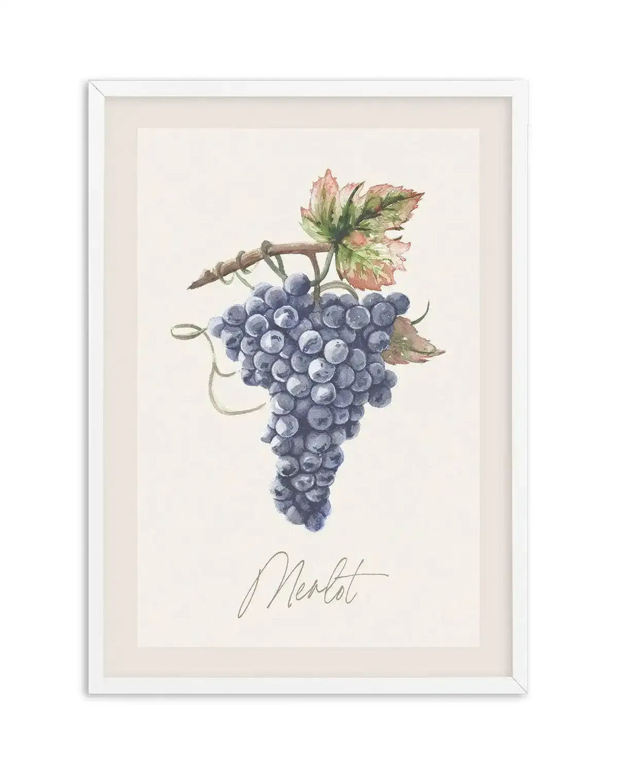 Watercolour art print featuring a cluster of dark purple grapes on a vine with green and reddish-brown leaves, with the word "Merlot" written in elegant script below, displayed in a white frame with white border.