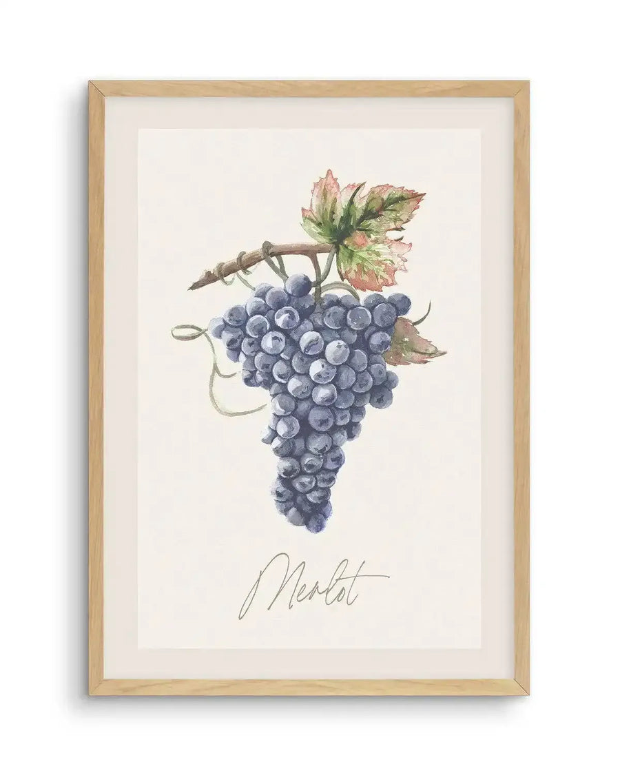 Watercolour art print featuring a bunch of deep purple Merlot grapes on a vine with green and reddish-brown leaves, printed on fine art paper and displayed in a natural oak frame with white border. The word "Merlot" is written in elegant script below the grapes.