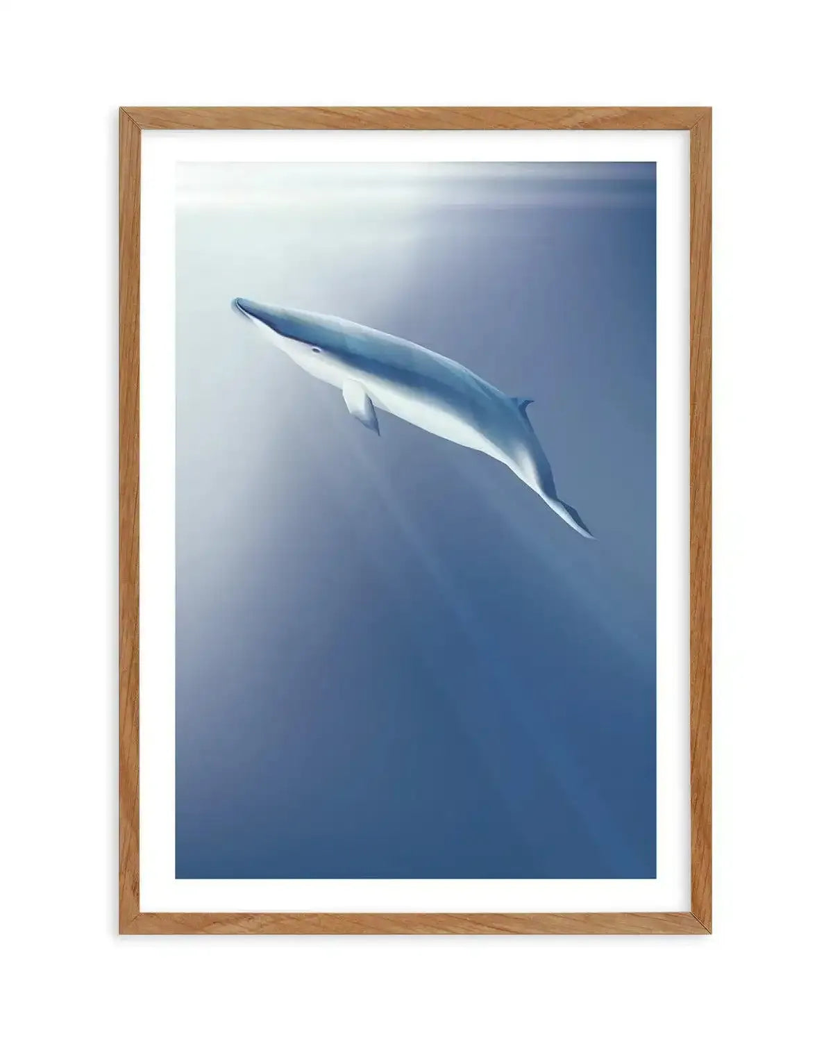 Minke | Graphic Whales Collection Art Print-PRINT-Olive et Oriel-Olive et Oriel-50x70 cm | 19.6" x 27.5"-Walnut-With White Border-Buy-Australian-Art-Prints-Online-with-Olive-et-Oriel-Your-Artwork-Specialists-Austrailia-Decorate-With-Coastal-Photo-Wall-Art-Prints-From-Our-Beach-House-Artwork-Collection-Fine-Poster-and-Framed-Artwork