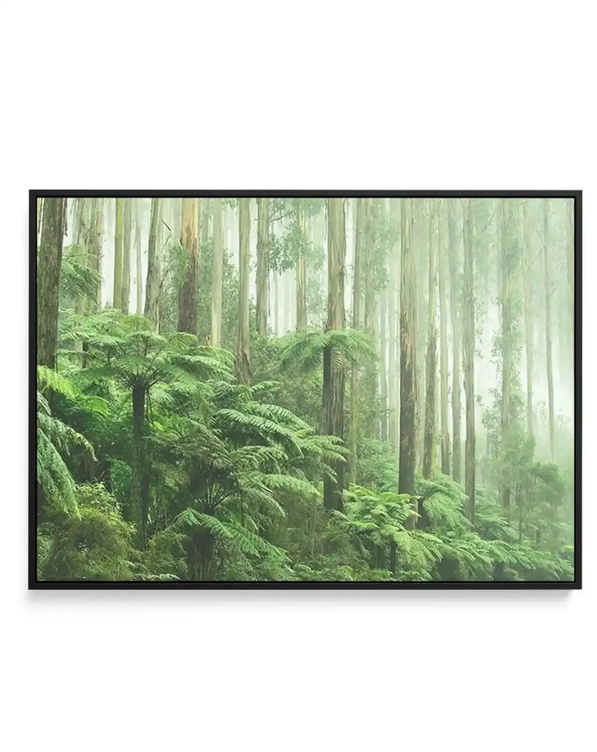 Misty Forest, Healesville Victoria | Framed Canvas-CANVAS-You can shop wall art online with Olive et Oriel for everything from abstract art to fun kids wall art. Our beautiful modern art prints and canvas art are available from large canvas prints to wall art paintings and our proudly Australian artwork collection offers only the highest quality framed large wall art and canvas art Australia - You can buy fashion photography prints or Hampton print posters and paintings on canvas from Olive et O
