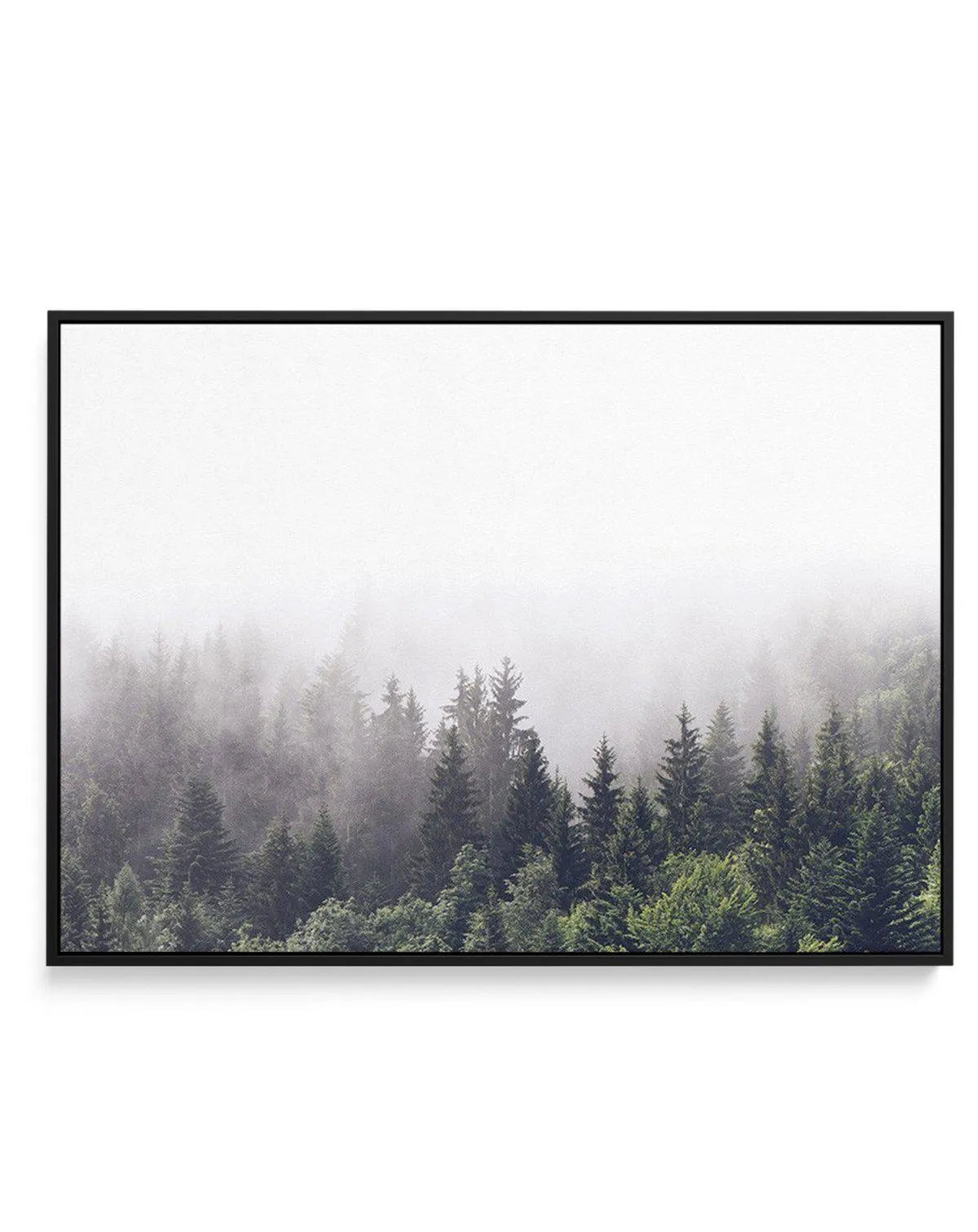 Misty Forest LS | Framed Canvas-CANVAS-You can shop wall art online with Olive et Oriel for everything from abstract art to fun kids wall art. Our beautiful modern art prints and canvas art are available from large canvas prints to wall art paintings and our proudly Australian artwork collection offers only the highest quality framed large wall art and canvas art Australia - You can buy fashion photography prints or Hampton print posters and paintings on canvas from Olive et Oriel and have them 