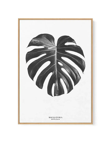 Monstera Deliciosa | Framed Canvas-CANVAS-You can shop wall art online with Olive et Oriel for everything from abstract art to fun kids wall art. Our beautiful modern art prints and canvas art are available from large canvas prints to wall art paintings and our proudly Australian artwork collection offers only the highest quality framed large wall art and canvas art Australia - You can buy fashion photography prints or Hampton print posters and paintings on canvas from Olive et Oriel and have th