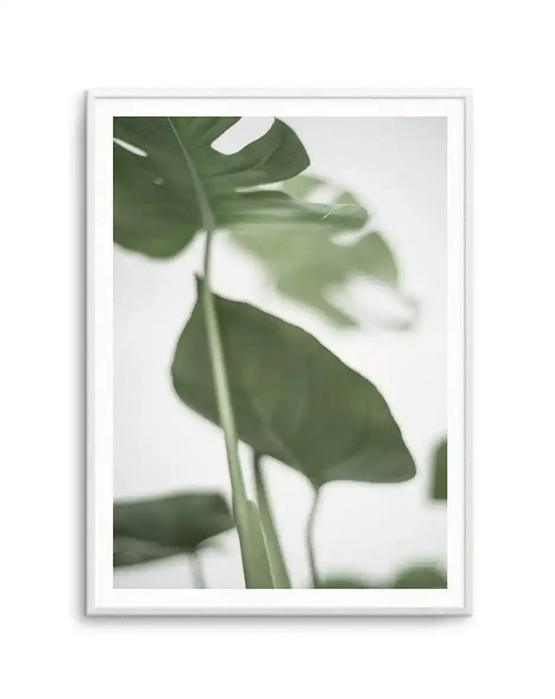 Framed art print of a Monstera plant with large, deeply lobed green leaves in varying shades from sage to forest green. The photograph features a soft focus effect with sharp detail on foreground leaves and blurred background foliage, creating depth. The image has a minimalist, botanical aesthetic with a light cream background. The artwork is displayed in a silver-toned frame with white border.