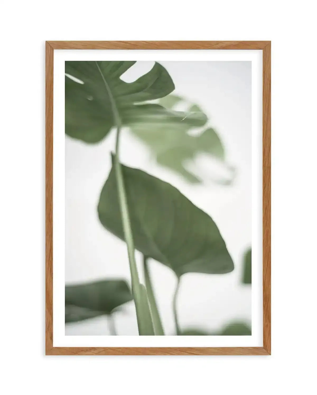 monstera picture frame Botanical Photography Wall Art Print