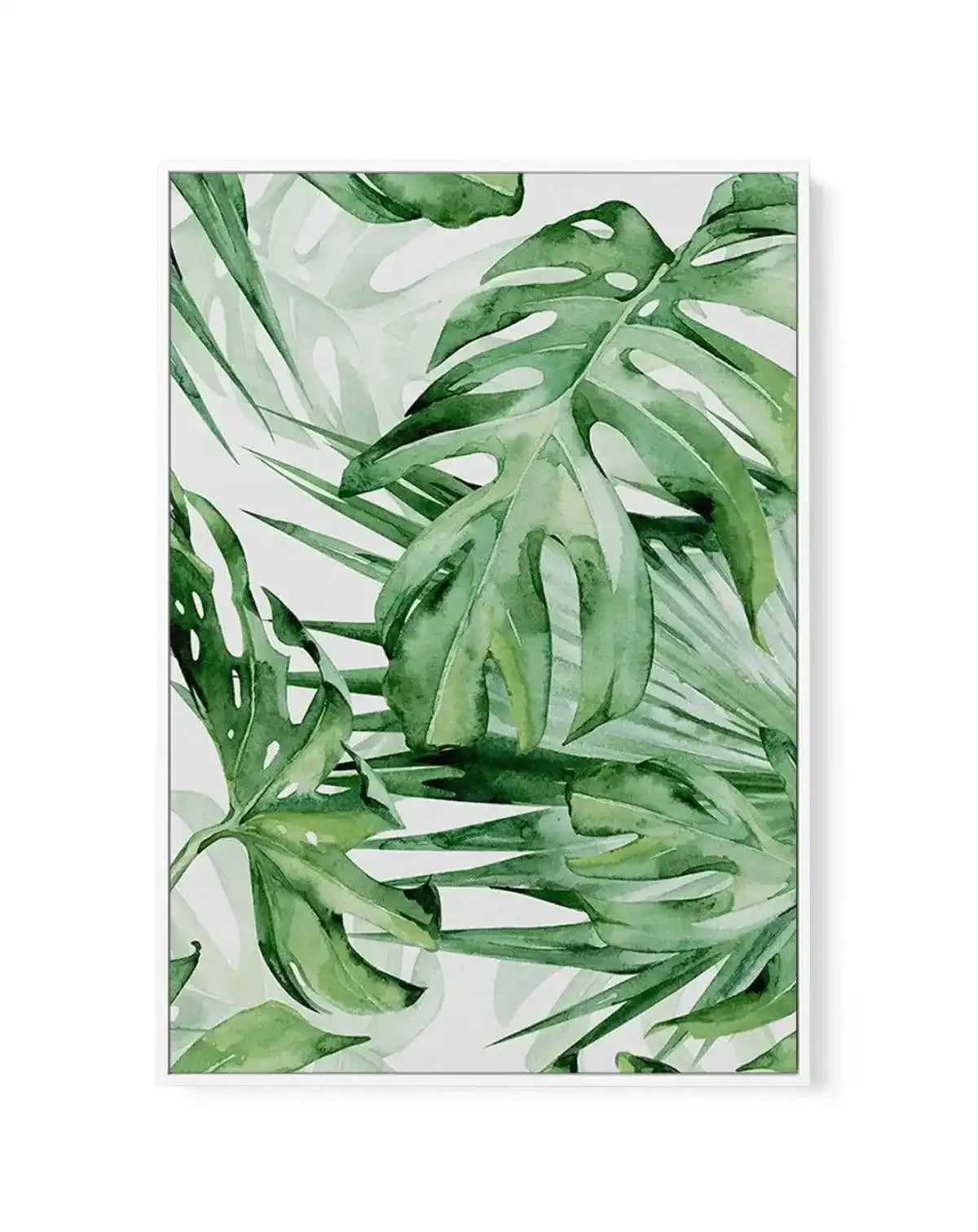 Monstera in Watercolour II | Framed Canvas-CANVAS-You can shop wall art online with Olive et Oriel for everything from abstract art to fun kids wall art. Our beautiful modern art prints and canvas art are available from large canvas prints to wall art paintings and our proudly Australian artwork collection offers only the highest quality framed large wall art and canvas art Australia - You can buy fashion photography prints or Hampton print posters and paintings on canvas from Olive et Oriel and