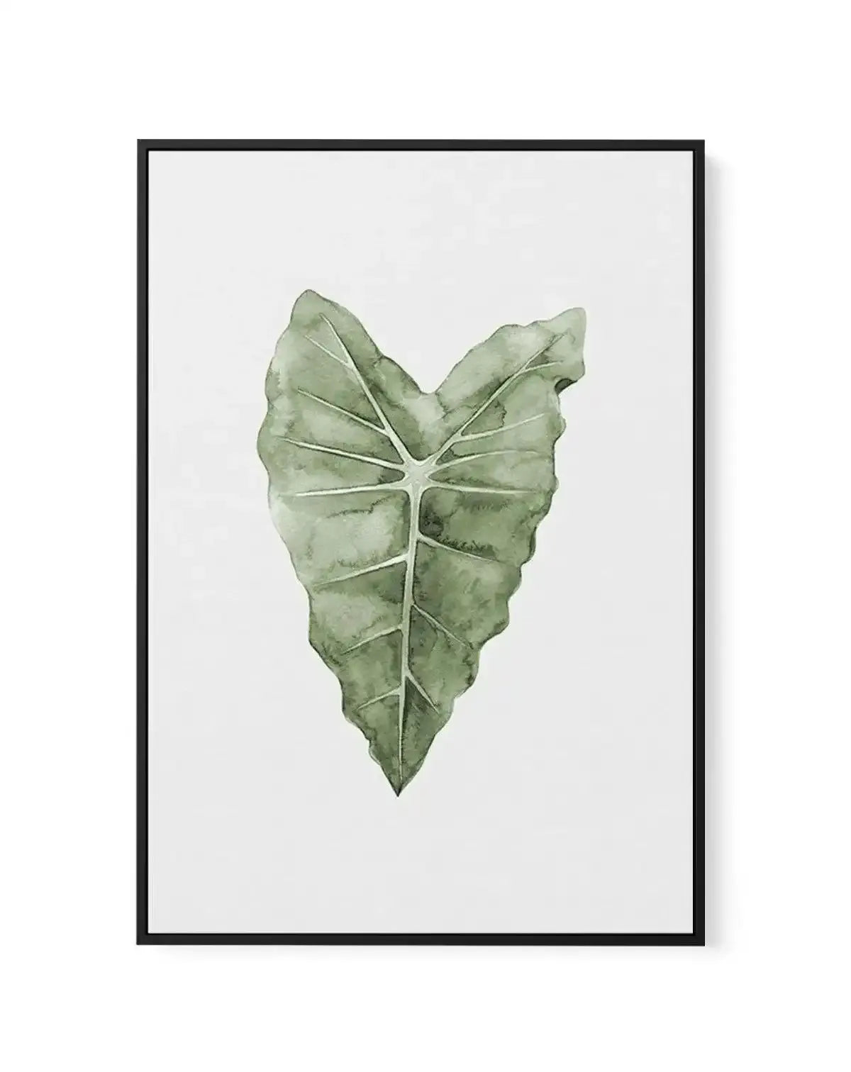 Monstera Siltepecana | Framed Canvas-CANVAS-You can shop wall art online with Olive et Oriel for everything from abstract art to fun kids wall art. Our beautiful modern art prints and canvas art are available from large canvas prints to wall art paintings and our proudly Australian artwork collection offers only the highest quality framed large wall art and canvas art Australia - You can buy fashion photography prints or Hampton print posters and paintings on canvas from Olive et Oriel and have 