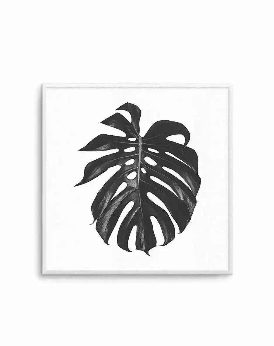 Monstera | SQ Art Print-PRINT-Olive et Oriel-Olive et Oriel-Buy-Australian-Art-Prints-Online-with-Olive-et-Oriel-Your-Artwork-Specialists-Austrailia-Decorate-With-Coastal-Photo-Wall-Art-Prints-From-Our-Beach-House-Artwork-Collection-Fine-Poster-and-Framed-Artwork