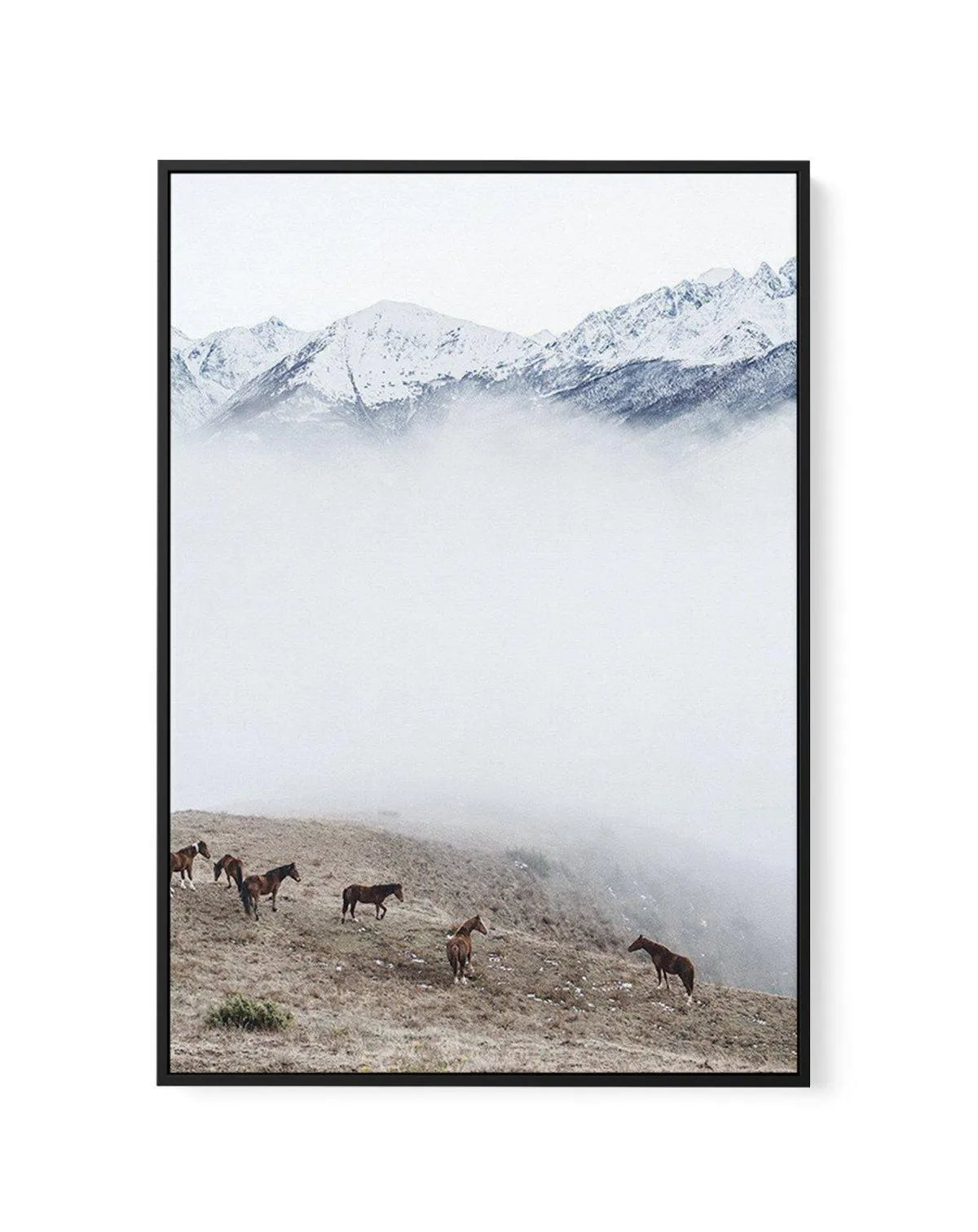 Mountain Horses | PT | Framed Canvas-CANVAS-You can shop wall art online with Olive et Oriel for everything from abstract art to fun kids wall art. Our beautiful modern art prints and canvas art are available from large canvas prints to wall art paintings and our proudly Australian artwork collection offers only the highest quality framed large wall art and canvas art Australia - You can buy fashion photography prints or Hampton print posters and paintings on canvas from Olive et Oriel and have 