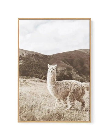 Framed canvas art print featuring a cream-colored llama standing in a dry, grassy meadow facing the camera. Rolling brown mountains and evergreen trees fill the background under a pale, cloudy sky. The photograph has warm, muted sepia tones. The canvas is mounted in a natural wood frame with a white border.