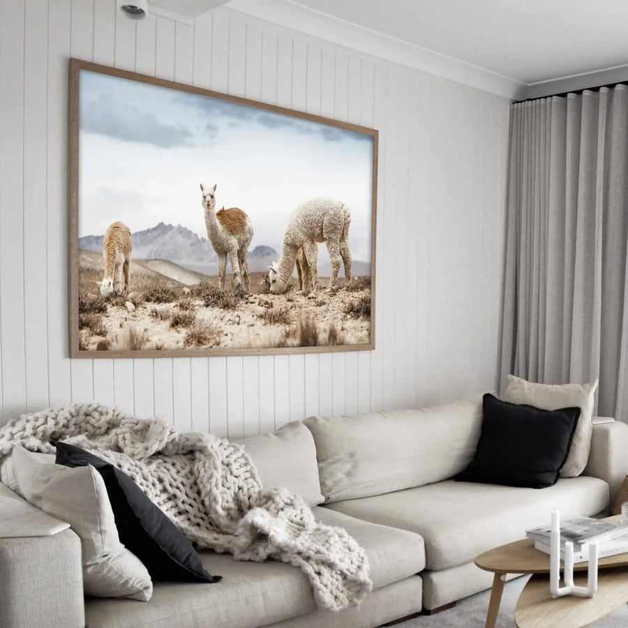 Framed art print displayed on white shiplap wall above cream upholstered sofa in bright living room. The photograph shows three llamas in natural tan and cream wool tones standing in arid high-altitude terrain with sparse vegetation and mountains in soft focus under cloudy sky. Wood-grain frame with white border. Cream knit throw blanket and black accent pillow visible on sofa below.
