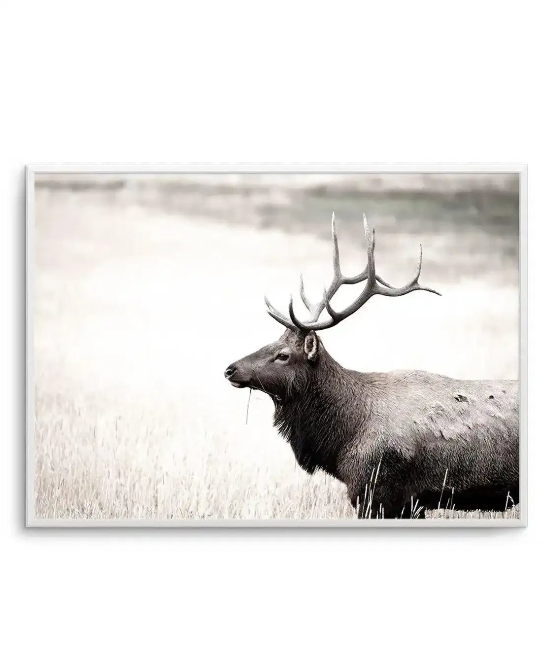 Mountain Stag | LS Art Print-PRINT-Olive et Oriel-Olive et Oriel-A5 | 5.8" x 8.3" | 14.8 x 21cm-Unframed Art Print-With White Border-Buy-Australian-Art-Prints-Online-with-Olive-et-Oriel-Your-Artwork-Specialists-Austrailia-Decorate-With-Coastal-Photo-Wall-Art-Prints-From-Our-Beach-House-Artwork-Collection-Fine-Poster-and-Framed-Artwork