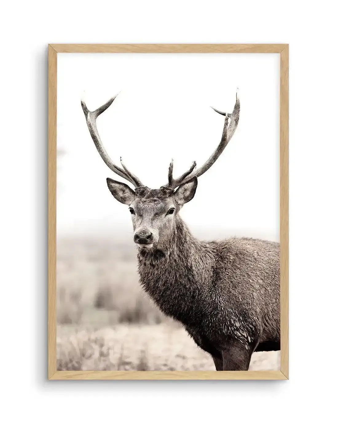 Mountain Stag | PT Art Print-PRINT-Olive et Oriel-Olive et Oriel-A5 | 5.8" x 8.3" | 14.8 x 21cm-Oak-With White Border-Buy-Australian-Art-Prints-Online-with-Olive-et-Oriel-Your-Artwork-Specialists-Austrailia-Decorate-With-Coastal-Photo-Wall-Art-Prints-From-Our-Beach-House-Artwork-Collection-Fine-Poster-and-Framed-Artwork