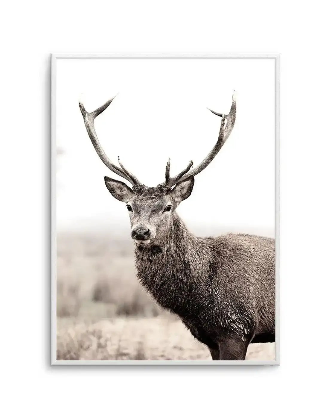 Mountain Stag | PT Art Print-PRINT-Olive et Oriel-Olive et Oriel-A5 | 5.8" x 8.3" | 14.8 x 21cm-Unframed Art Print-With White Border-Buy-Australian-Art-Prints-Online-with-Olive-et-Oriel-Your-Artwork-Specialists-Austrailia-Decorate-With-Coastal-Photo-Wall-Art-Prints-From-Our-Beach-House-Artwork-Collection-Fine-Poster-and-Framed-Artwork