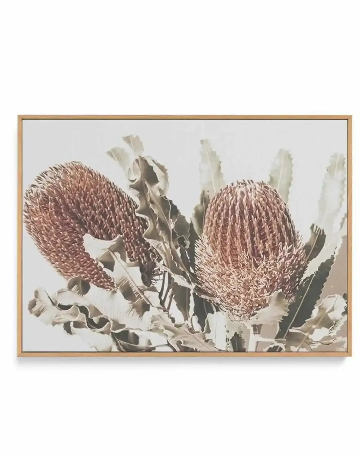 Native Banksia | LS | Framed Canvas Art Print from Olive et Oriel where you can shop wallpaper and artworks online