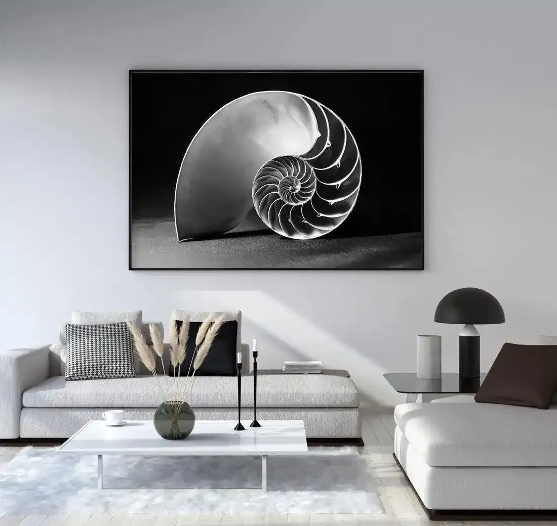 Nautilus B&W Art Print-PRINT-Olive et Oriel-Olive et Oriel-Buy-Australian-Art-Prints-Online-with-Olive-et-Oriel-Your-Artwork-Specialists-Austrailia-Decorate-With-Coastal-Photo-Wall-Art-Prints-From-Our-Beach-House-Artwork-Collection-Fine-Poster-and-Framed-Artwork