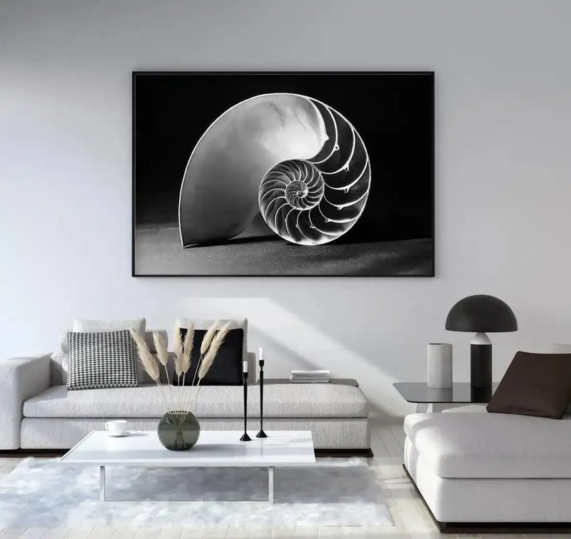 Lifestyle shot of a minimalist living room featuring a large framed black and white photograph of a nautilus shell displayed above a light grey sectional sofa. The nautilus shell is cut in half, revealing its intricate spiral chambers, set against a dark background. The room includes a white coffee table with a vase of dried pampas grass and black candlesticks, and a black mushroom-shaped lamp on a side table.