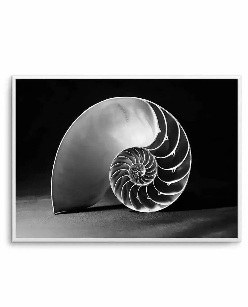 Framed black and white photograph of a nautilus shell cut in half, revealing its intricate spiral chambers. The shell is positioned on a dark, textured surface against a deep black background, highlighting the smooth, pearlescent interior and the delicate, curving septa. The composition emphasizes the natural logarithmic spiral of the shell, with a white frame and white border.